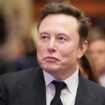 « DOGE », ce détail sur le nom du futur ministère d’Elon Musk qui ne passe pas inaperçu