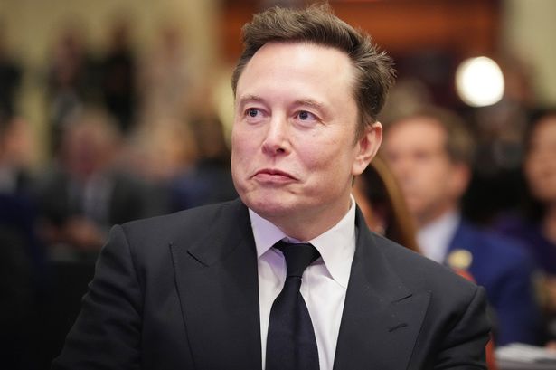 Elon Musk urges people to do common thing to stop 'humanity from dying with a whimper'