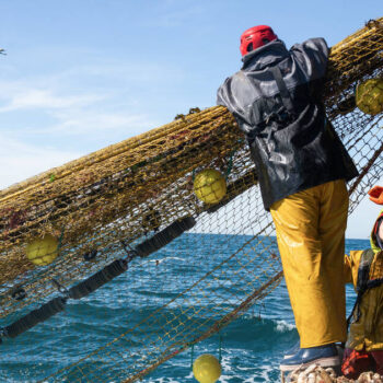 Une pêche durable est-elle encore possible ?