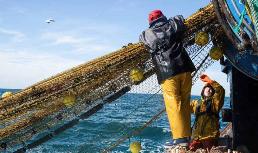 Une pêche durable est-elle encore possible ?