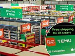 Did Temu put Homebase on life support? How DIY brand was hit by cheap Chinese retailers and fierce competition from Wickes and B&Q - as firm is handed last-minute reprieve