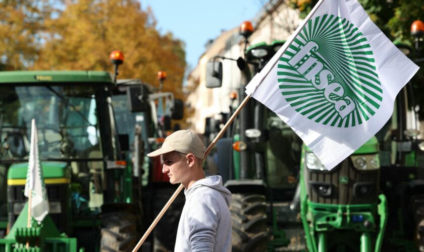 Mobilisation des agriculteurs : pourquoi elle ne ressemblera pas à celle de l’an passé