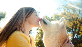 Il est temps d'arrêter les bisous avec votre chien, on vous explique pourquoi