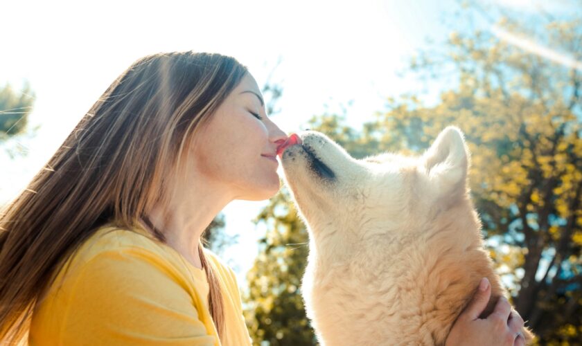 Il est temps d'arrêter les bisous avec votre chien, on vous explique pourquoi