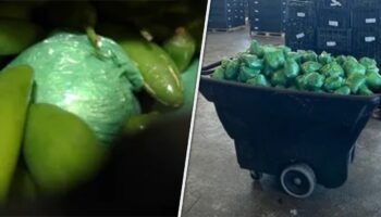 More than $31M of meth concealed in shipment of peppers seized at Texas-Mexico border