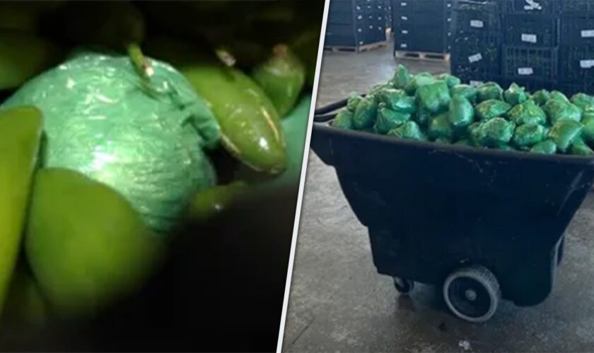 More than $31M of meth concealed in shipment of peppers seized at Texas-Mexico border