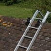 Roofers branded least trustworthy tradespeople as cost of building work surges