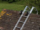 Roofers branded least trustworthy tradespeople as cost of building work surges