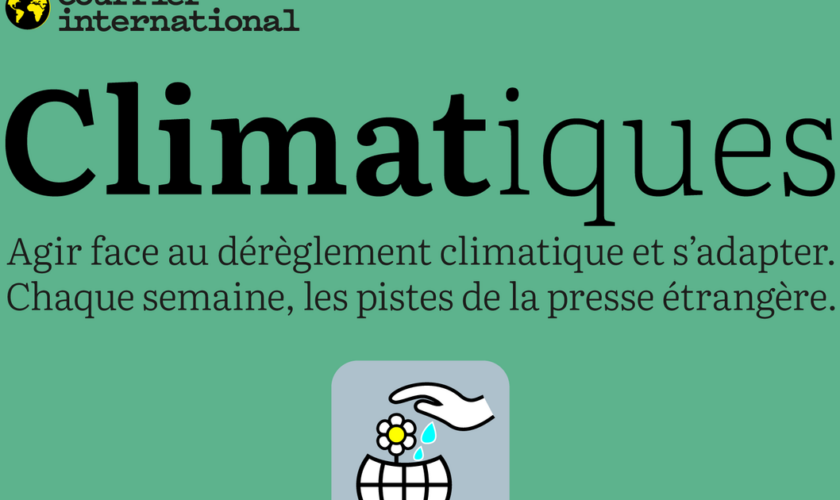 Une COP29 à crédit