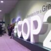 COP29 :  la ministre française annule son déplacement sur fond de tensions avec Bakou