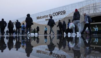 COP29: Argentinien ruft Delegation von Weltklimakonferenz zurück