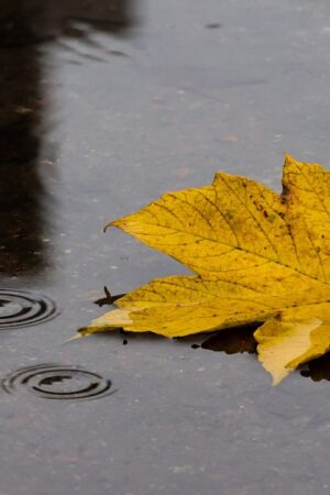 Das aufziehende Tiefdruckgebiet bringt Regen und Wind – aber nicht unbedingt einen Orkan