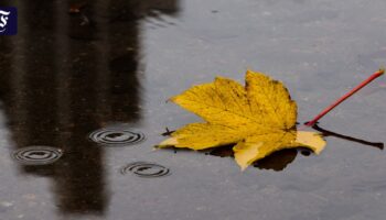 Das aufziehende Tiefdruckgebiet bringt Regen und Wind – aber nicht unbedingt einen Orkan