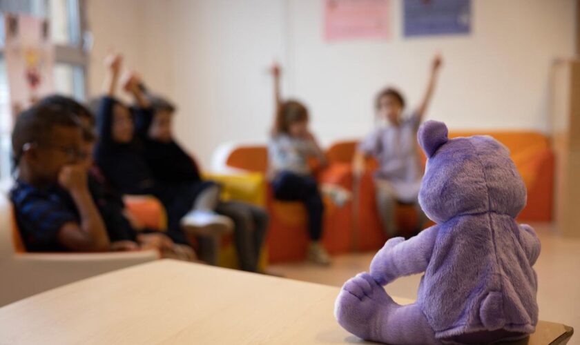 « Je me lève à 6h30 tous les jours et je ne compte pas mon temps » : Lucile, prof des écoles, détaille son emploi du temps après l’attaque de Nicolas Sarkozy