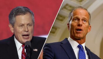 Trump privately backed John Thune in tight leader race, Sen Steve Daines suggested