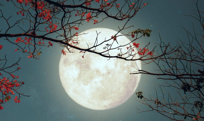 La pleine Lune du Castor va booster les amours de tous ces signes, les astrologues sont formels