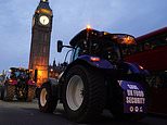 Labour digs in over family farm tax raid: Defra's bid to soften the Budget blow is rejected by Downing Street