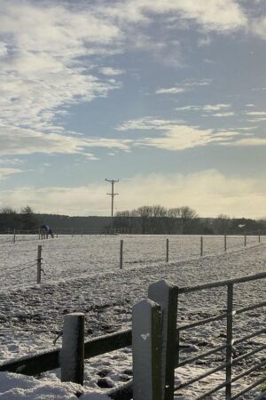 Snow in Suffield, Hackness in Scarborough