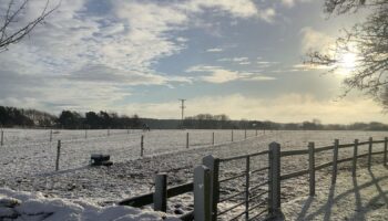 Snow in Suffield, Hackness in Scarborough