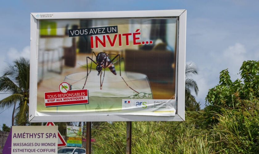 La Guadeloupe fait face à une épidémie de dengue