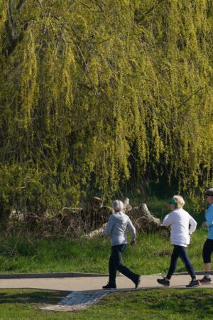 Just an hour of walk in middle-age can add years to life, study says