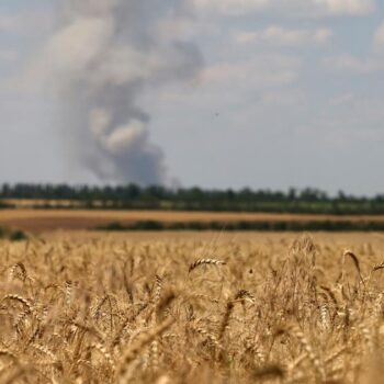 Les images satellite révèlent les répercussions de la guerre sur la production de blé en Ukraine