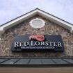 Red Lobster CEO says endless shrimp is never coming back: ‘I know how to do math’