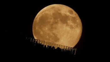 La super Lune du Castor sera la dernière de l’année 2024, voici ce que signifie son nom