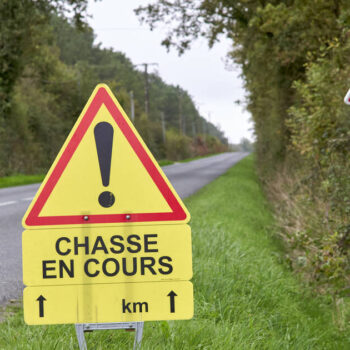 Chasse : un cheval tué et deux hommes blessés, dont l’un par balle, en une semaine