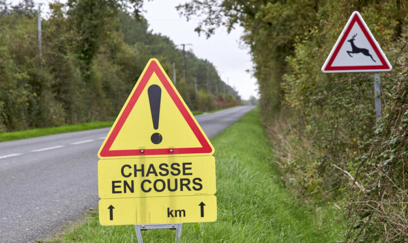 Chasse : un cheval tué et deux hommes blessés, dont l’un par balle, en une semaine