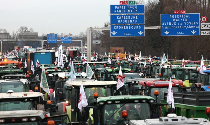 Colère des agriculteurs : un an après, pourquoi la mobilisation du monde agricole fait son retour