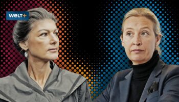 „Gemeinsame Wagenknecht-Weidel-Fangemeinschaft stellt uns vor komplizierte Situation“