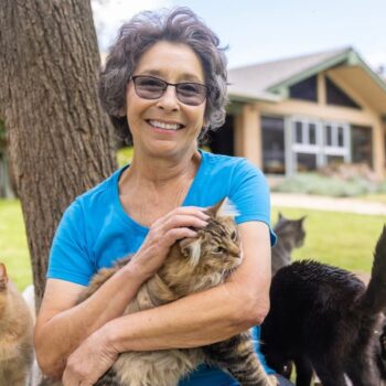 ‘I shared my house with 150 cats – and was told to get rid of them in two weeks’