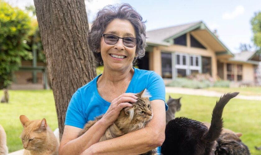 ‘I shared my house with 150 cats – and was told to get rid of them in two weeks’