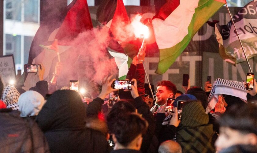 Nahost-Konflikt: Palästina-Demonstration mit Störungen und Festnahmen