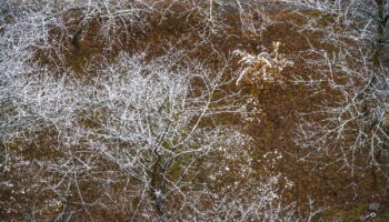 Météo : la neige fait son retour en basse altitude