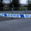 Boy, 11, dies after being hit by car outside school as police search for dashcam footage