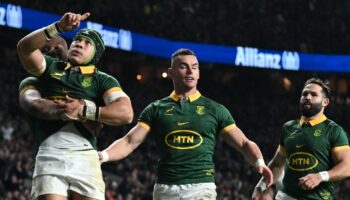 Brutal Springboks show champion qualities to pile more misery on England