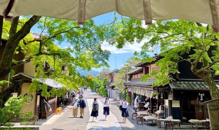 « Une ville qui récompense les curieux » : voyage à Kyoto, au cœur de l’éternité moderne