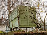 Locals blast neighbour for building an illegal TREE HOUSE overlooking their homes and fume 'the council are doing nothing'