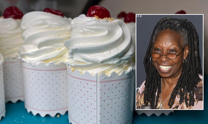 JONATHAN TURLEY: Why defamation suit against Whoopi Goldberg could be piece of cake