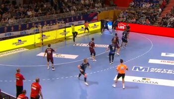 Rhein-Neckar Löwen lassen Potsdam keine Chance – Die Highlights im Video