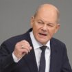 Neuwahl: SPD-Politiker dringen auf zügige Kür von Scholz als Kanzlerkandidat