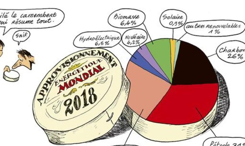 Comment la BD est devenu un « format de prédilection pour informer »