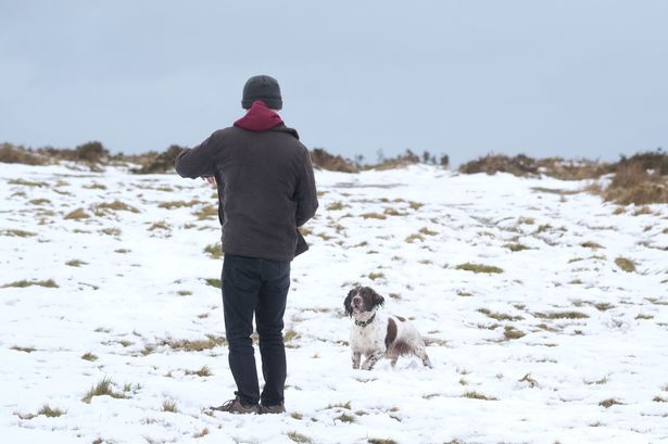 UK snow: Full list of places facing yellow warning for 'travel chaos and cut off communities'