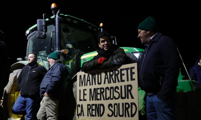 Des agriculteurs manifestent sur la nationale N118 près de Vélizy-Villacoublay (Yvelines) le 17 novembre 2024