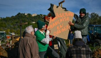 Des agriculteurs placent une réplique de potence avec un message indiquant en français « L'agriculture française en danger » alors qu'ils bloquent une route lors d'une manifestation nationale contre l'accord UE-Mercosur au Cannet-des-Maures, dans le sud de la France, le 18 novembre 2024.