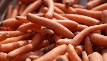 One dead and dozens fall sick after eating contaminated carrots amid E coli outbreak