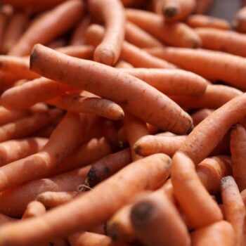 One dead and dozens fall sick after eating contaminated carrots amid E coli outbreak