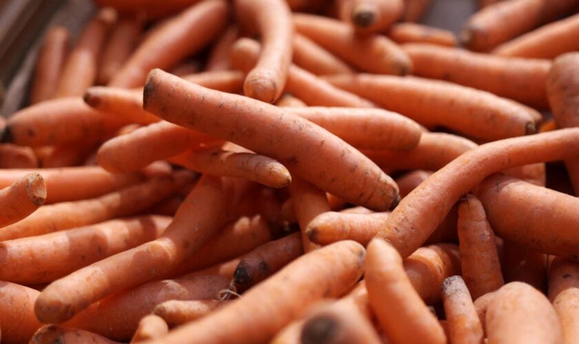 One dead and dozens fall sick after eating contaminated carrots amid E coli outbreak